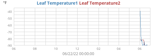 yeartempleaf