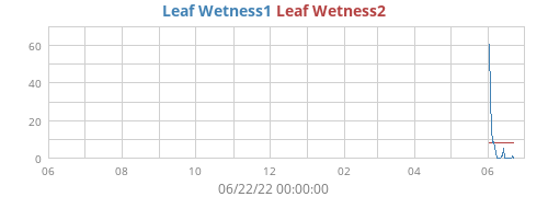 yearwetleaf